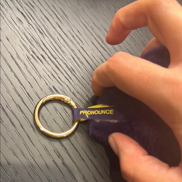 POP MART Labubu x Pronounce Wings of Fortune Vinyl Plush Keychain - Picture 7 of 7